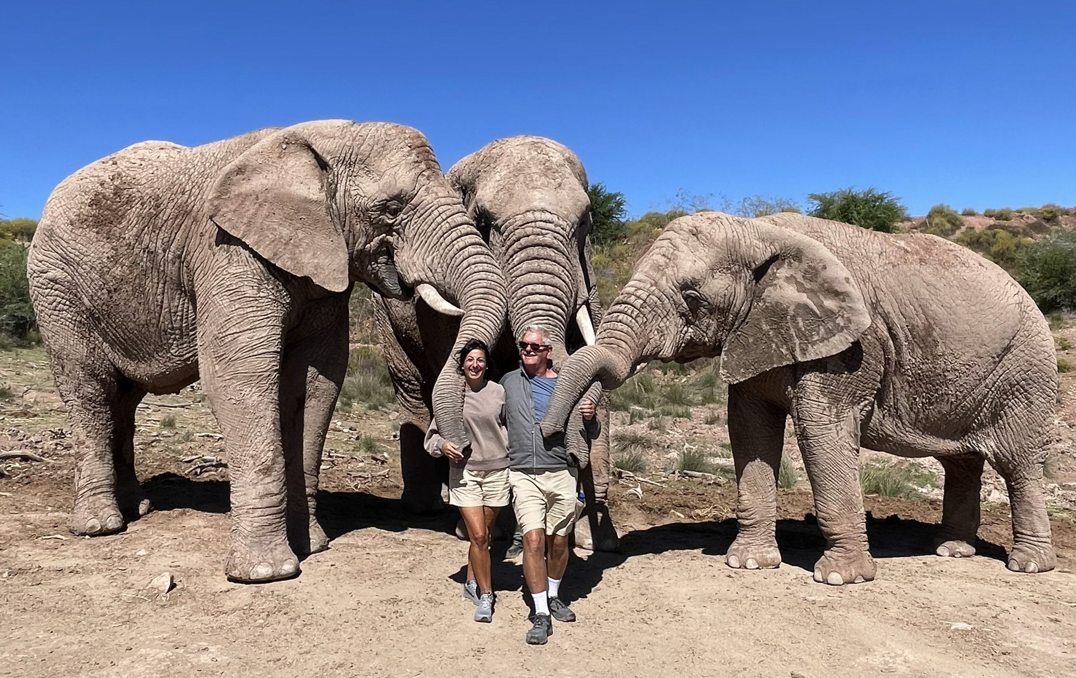 The Goguls surrounded by elephants in South Africa